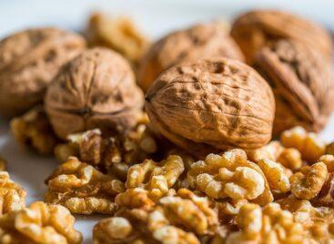 Successful walnut cultivation is unthinkable without irrigation and plant protection
