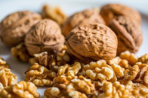 Successful walnut cultivation is unthinkable without irrigation and plant protection