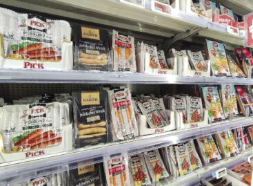 Life is beautiful in pairs