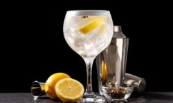 No gin without alcohol, European Court rules