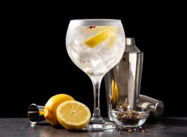 Nem használható a „gin” megnevezés alkoholmentes italokra