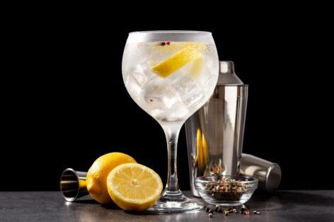No gin without alcohol, European Court rules