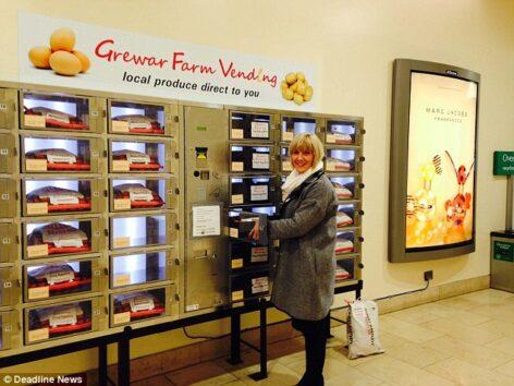 Farm to vendingautomata – A nap képe