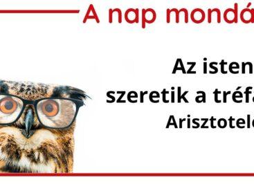 (HU) A nap mondása