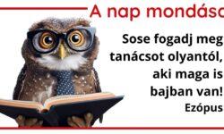 A nap mondása