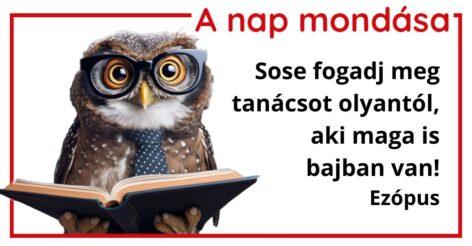 (HU) A nap mondása