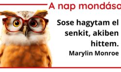 (HU) A nap mondása