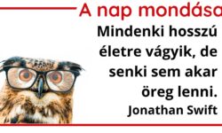 (HU) A nap mondása
