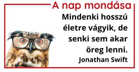 A nap mondása