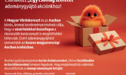 Prankster Elves Help with Holiday Charity at Auchan