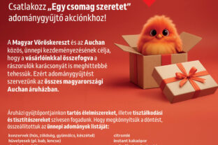 Prankster Elves Help with Holiday Charity at Auchan