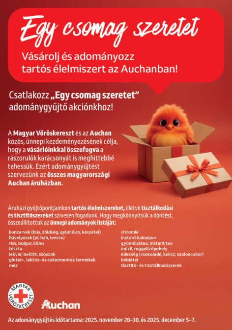 Prankster Elves Help with Holiday Charity at Auchan