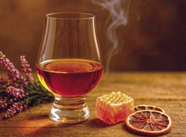 Újítók a kapu előtt