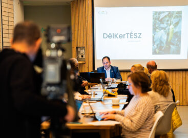 DélKertész: Tax change could give a boost to Hungarian vegetables