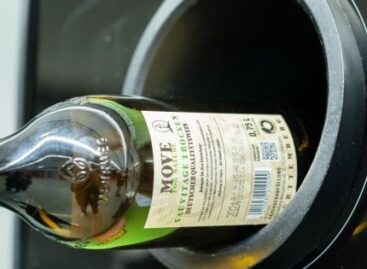 Kaufland introduces deposit-return wine bottles