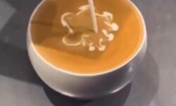 A profi és az amatőr – A nap videója