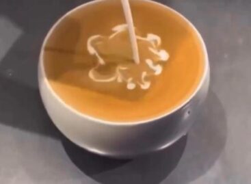 (HU) A profi és az amatőr – A nap videója