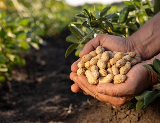They took action to save the peanut