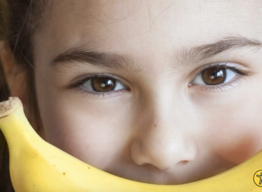 Kapszulakamrával az élelmiszerpazarlás ellen – a Nébih Maradék nélkül program tanácsai