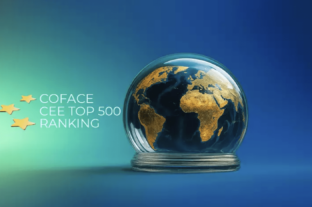 Coface: Ezek a régió legnagyobb vállalatai – A Mol eggyel hátrébb csúszott, nagyot mentek a Lidl-leányok