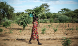 ENSZ: Egyre nagyobb kihívás a tartós éhezés felszámolása az éhezési válsággócokban