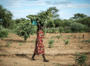 UN: Ending chronic hunger in hunger crisis hotspots is a growing challenge