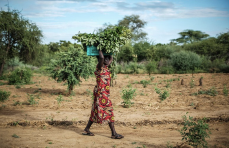 ENSZ: Egyre nagyobb kihívás a tartós éhezés felszámolása az éhezési válsággócokban