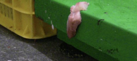 Gyrosnyárs alapanyagot és gyrosnyársat is előállító üzemeket ellenőrzött a Nébih – egy üzem működését azonnal felfüggesztették