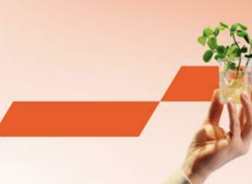 Recycling packaging can save billions