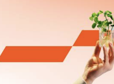 A körforgásban tartott csomagolás akár milliárdos megtakarítást eredményezhet