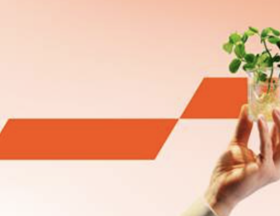 Recycling packaging can save billions