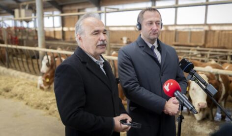 The future belongs to family farms