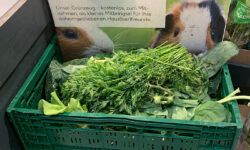 És ez nem is kisállat-kereskedés – A nap képe