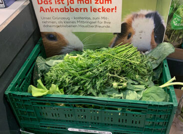 És ez nem is kisállat-kereskedés – A nap képe