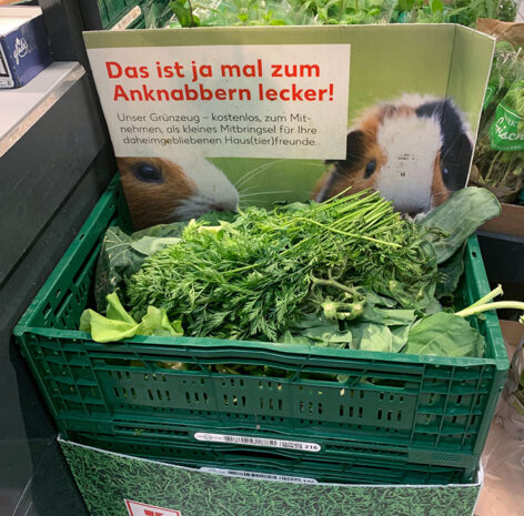 És ez nem is kisállat-kereskedés – A nap képe