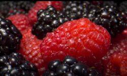 (HU) Nagyonközelképek – A nap videója