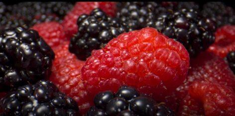 Nagyonközelképek – A nap videója