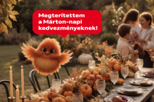 Goose season is in full swing: record quantities of St. Martin’s Day delicacies are being sold!