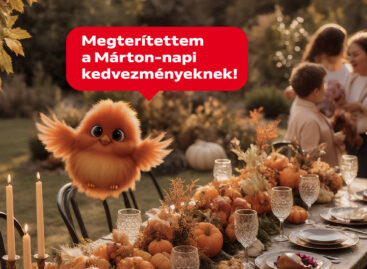 Goose season is in full swing: record quantities of St. Martin’s Day delicacies are being sold!