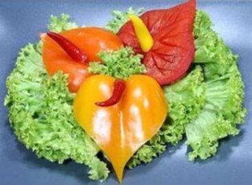 (HU) Virágba bóruló asztalok télen – A nap képe