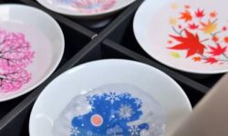 (HU) Tányérvirágzás – A nap videója