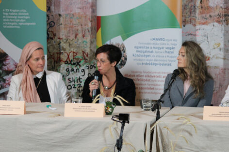 Innovative, pure-hearted approach as one of the leaders in the Clean Label market in Hungary