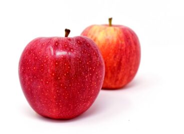 Bajban a hazai almatermelők, jóval az átlag alatt az idei termésmennyiség