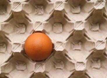 Az unióban és hazánkban is emelkedett az étkezési tojás ára