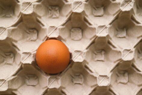 Az unióban és hazánkban is emelkedett az étkezési tojás ára