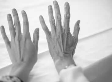 Change among business owners: Generation Y has become the new engine of Hungarian businesses