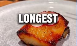 Halleges – A nap videója