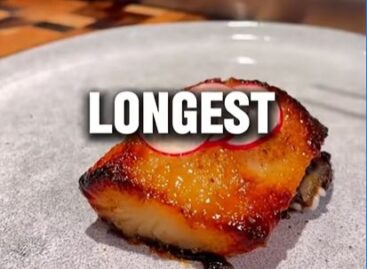 Halleges – A nap videója