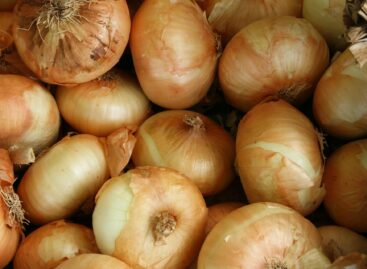 Nagyot drágult a vöröshagyma