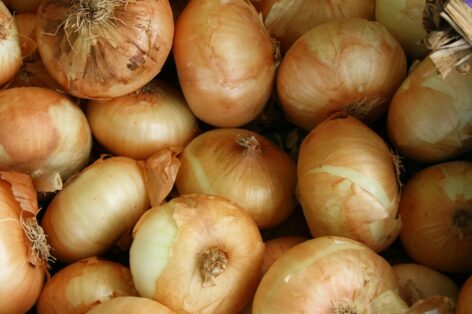 Onions have become much more expensive